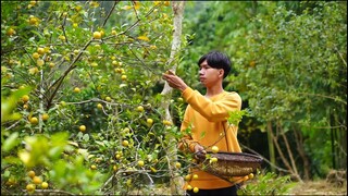 Mứt Chanh, Trà Chanh Cho Mùa Đông Thêm Ấm Áp