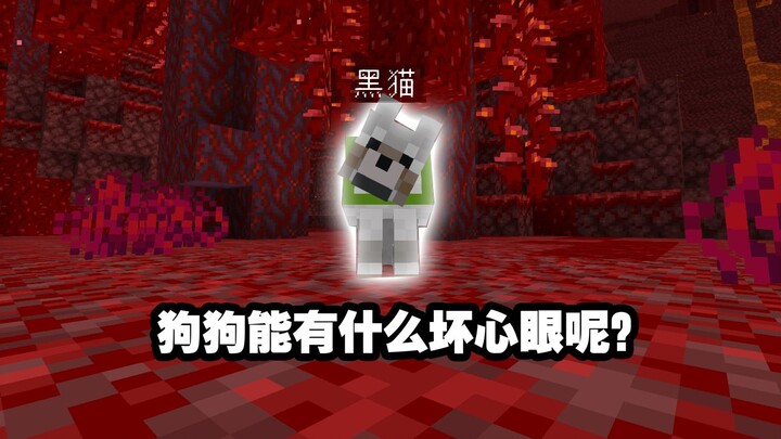 Ketika aku menjadi anjing temanku