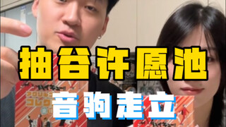 走立D完了，大家还想看什么？！