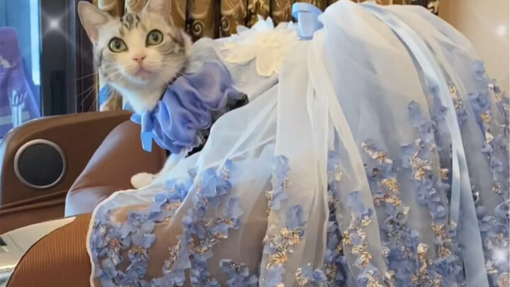 Suara imut nan menggemaskan Xiao A Diao hadir—manis dan lembut, sangat menenangkan 😘