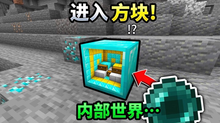 MC: When you can enter the world inside a block!