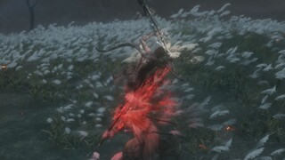 GMV Sekiro: Akan Ku Habisi Keluarga Ashina Untukmu!