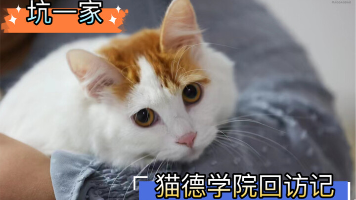 บันทึกการเยี่ยมกลับของวิทยาลัยเหมาเต๋อ – ครอบครัวหลุม