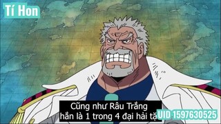 5 Nhân Vật Có Thể Cạnh Tranh Vị Trí Tứ Hoàng #Anime #Schooltime