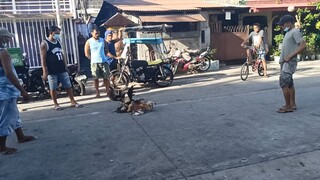 natawa lang ako sa hithit buga malaki kasi pusta niya