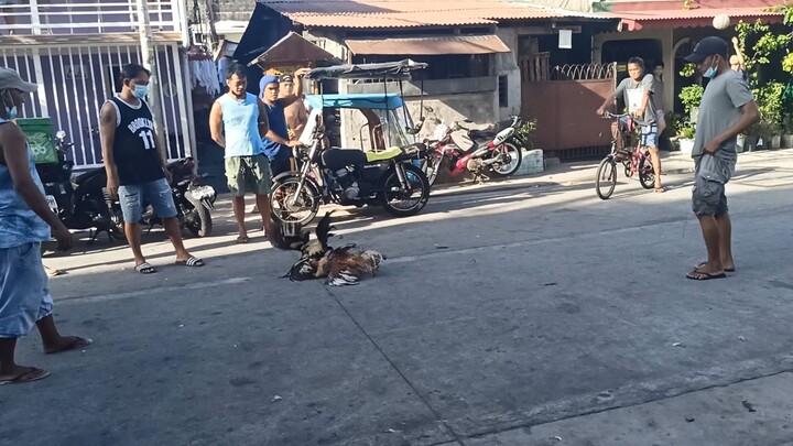 natawa lang ako sa hithit buga malaki kasi pusta niya