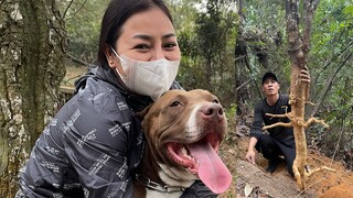 Hành Trình Đi Tìm Cây Thuốc Quý Chữa Bách Bệnh Của Tem Săn Bắt Ẩm Thực Vùng Cao