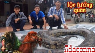 Nấu Cao Trăn Khổng Lồ Lộc Tướng Quân | Quy Trình Nấu Cao Chữa Bệnh Xương Khớp |  Giant Python