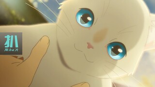 【扒】人变成猫后为所欲为的治愈动画《无限》，放弃不难，但坚持一定很酷！