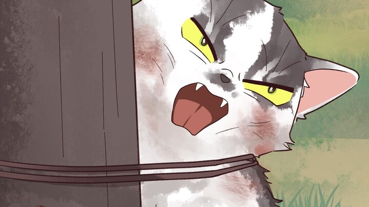 Don't make fun of animals' lives—here's my voice for dairy cows and cats!