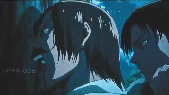 levi edit