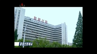 Trigêmeos nº 561 recebem alta da Maternidade de Pyongyang