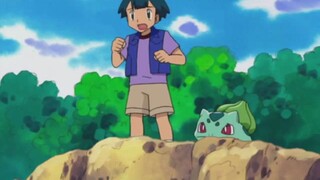 Bulbasaur is so cute with disgust written all over its face!