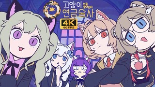 【4K60 ไร้การสูญเสีย·ซับไตเติลสองภาษาจีน-เกาหลี】ที่แท้คือนักเล่นแร่แปรธาตุนี่เอง ฉันนึกว่าเป็นแมวนะ🐱🧪