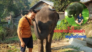 น้ำเพชรยังจำพ่อได้ไหมลูก