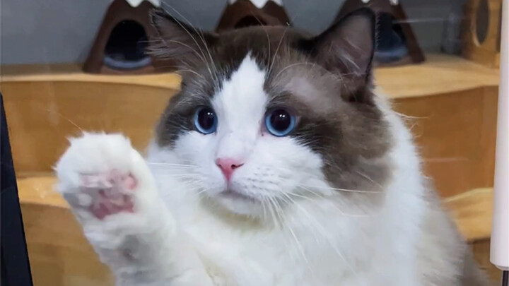 Hospitable Shandong Welcomes You!