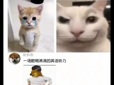 Isn’t this more fun than gaming?