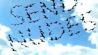 การรวบรวม MEMES ที่ผิดปกติ V49