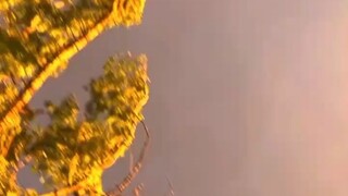 手机远程屏幕共享软件(探探超强聊天套路)⏩查询➕微信6435148⏪