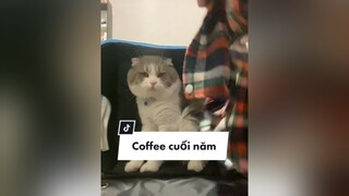 Mọi người đi coffee cuối năm cùng Beo nhé, chúc mọi người năm 2022 thật hạnh phúc nhee 🤎 2022 CảmƠnNhà cat DienMao2022