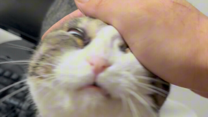 When I come home late, give me a cozy cuddle!