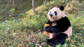 贴秋膘的季节来啦