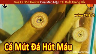 Vua Lì Đòn Cho Kiến Độc Và Cá Mút Đá Cắn Vào Tay Để Lấy Cảm Giác || Review Con Người Và Cuộc Sống