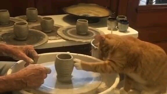 Master: How about you come?