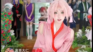 Sakura is out