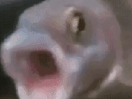 ฮ่าๆ! 【ฮาๆ】เธอแทบจะแตกเป็นเสี่ยงๆ แล้วนะ!