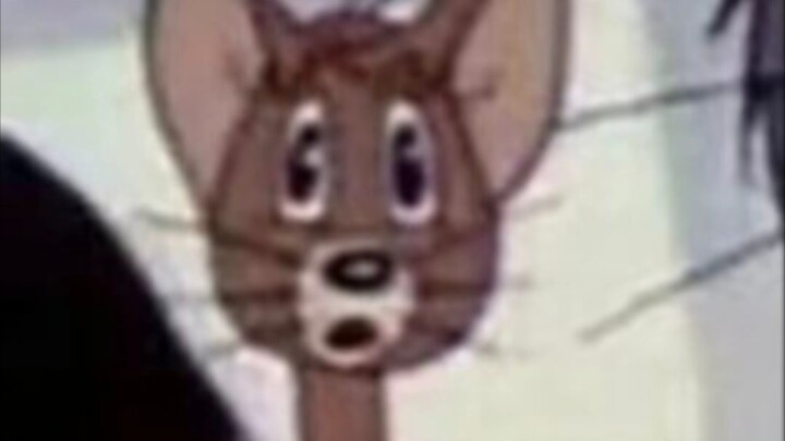 حياة مُحِبِّي تثبيت البرامج الثابتة المخصصة