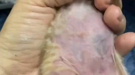 บางทีในชาติที่แล้วเราอาจเคยเดินสวนกันเพียงเฉียดๆ แต่การรอคอยนับพันครั้งในชาตินี้ ก็ได้รับโอกาสให้ได้