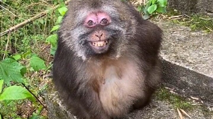 It really reminds me of an old friend of mine.