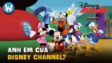 Disney Channel Có Anh Em Nối Khố?