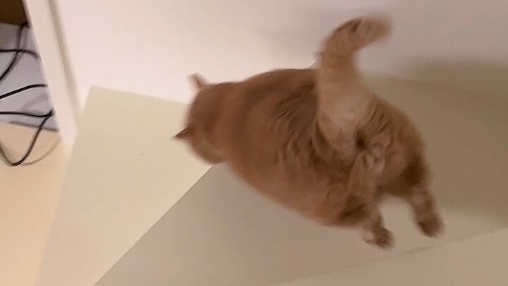 สวัสดี ขยับหน่อยก็ไม่ตายหรอก