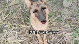 近水楼台先得月