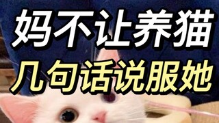 养猫好处根本数不完！