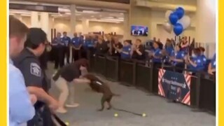 พิธีเกษียณอายุของสุนัขทำงาน