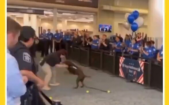 พิธีเกษียณอายุของสุนัขทำงาน