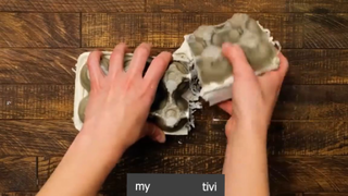 thiên nhiên hoang dã p3 #mytivi