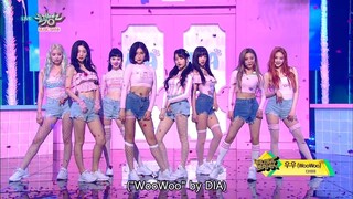 DIA WooWoo Performance