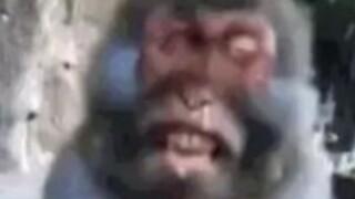 Monkey: Who the hell told you to put firecrackers in your pocket!
