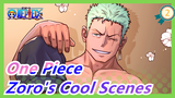 [One Piece] Zoro's Cool Scenes--- I'm Invincible after Two Years_2