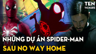 SPIDER-MAN - Những Dự Án Nối Tiếp NO WAY HOME | Across The Spider-Verse, Morbius Và Gì Nữa?