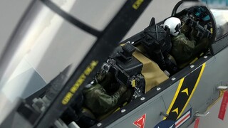 Tamiya F-14D Tomcat fighter model completed display