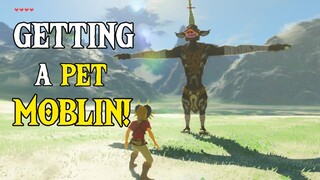 Link Gets a Pet MOBLIN! | Zelda: Breath of the Wild