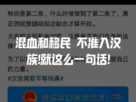 No mixed-race or immigrant people allowed into the Han ethnicity—just that one sentence, slammed str