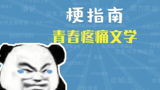 青春疼痛文学是什么梗【梗指南】