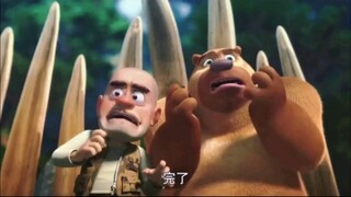 หมีในภาษาต่างๆ