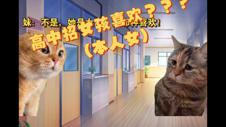 [Cat meme] Về trường trung học của tôi, không hiểu sao tôi lại bị thu hút bởi một cô gái thích trong